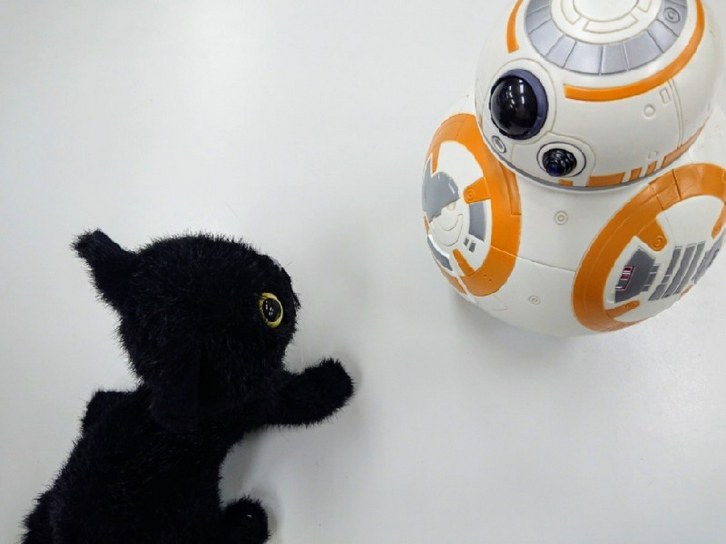 BB-8と黒猫