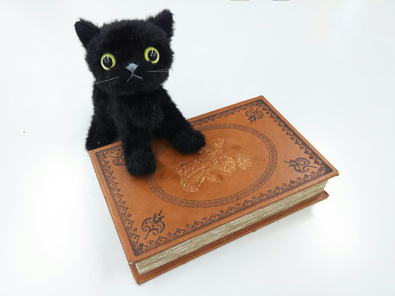 黒猫の図書館トップ