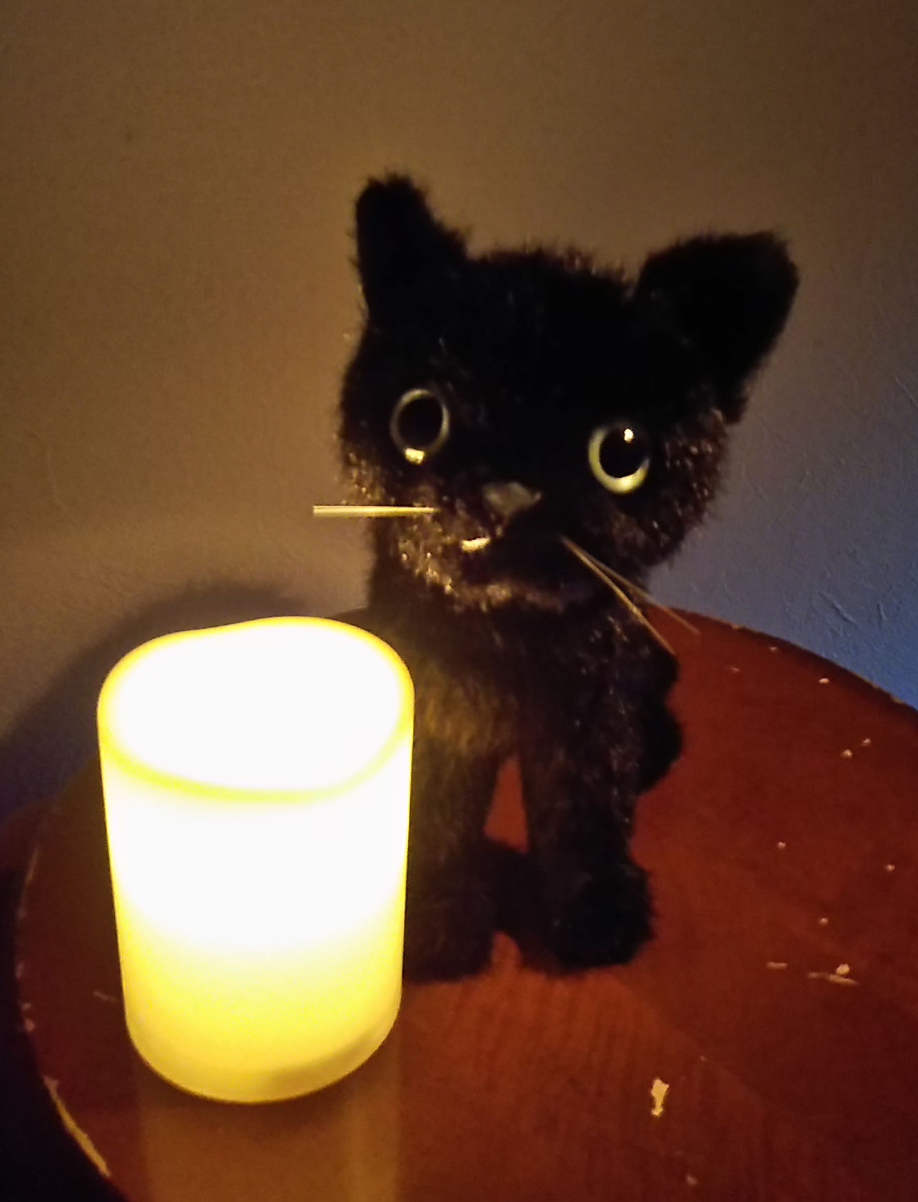 ろうそくに照らされる黒猫