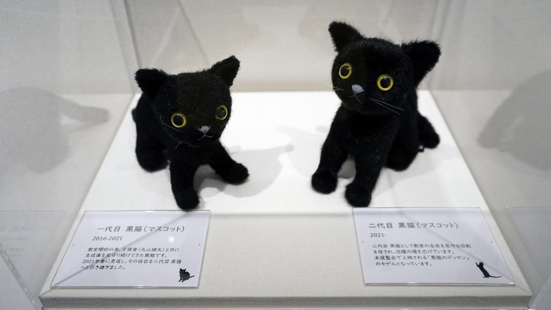 黒猫のマスコット