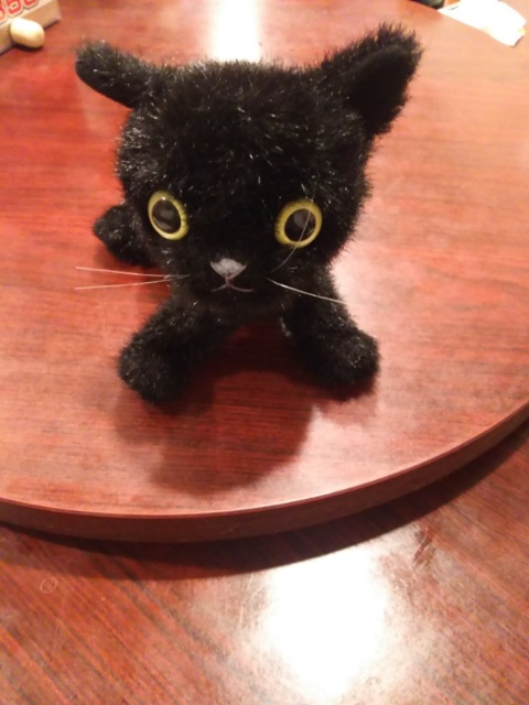円卓に座る黒猫