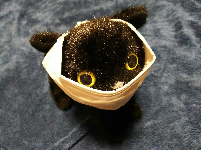 黒猫が風邪をひいている