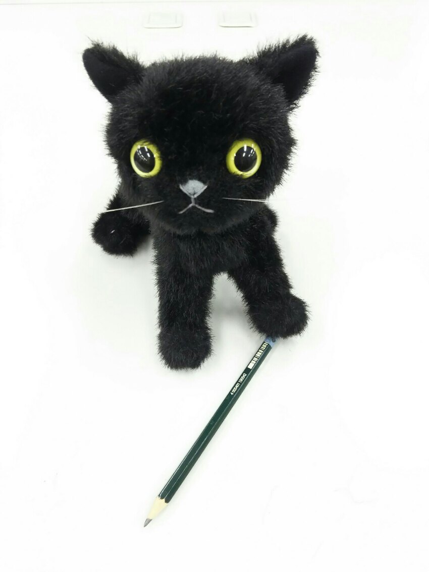 黒猫が鉛筆を持っています