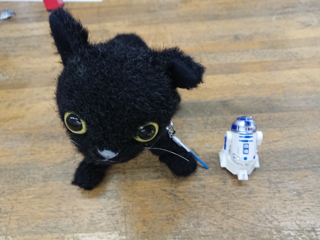 R2-D2と黒猫