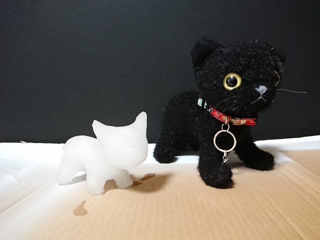 黒猫と白猫